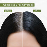Organic & Natural Damage Free Gel Hair  Colour before and after comparison.